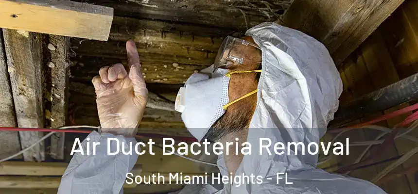 Air Duct Bacteria Removal South Miami Heights - FL