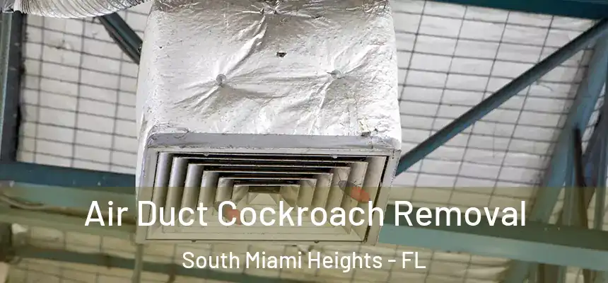Air Duct Cockroach Removal South Miami Heights - FL