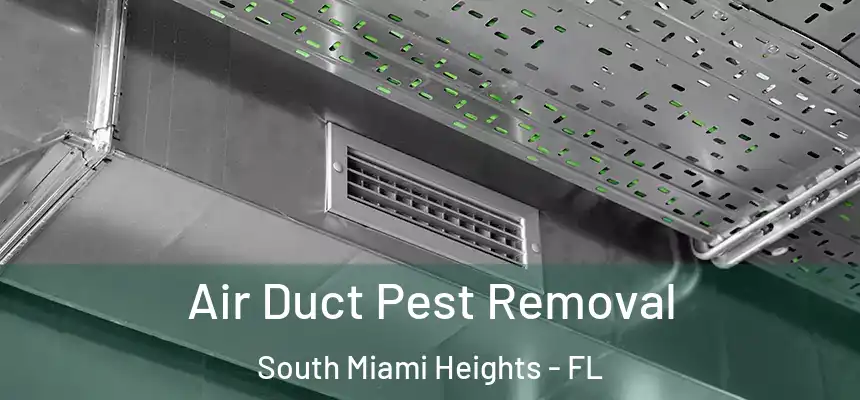 Air Duct Pest Removal South Miami Heights - FL
