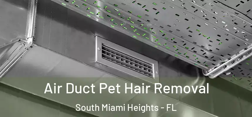 Air Duct Pet Hair Removal South Miami Heights - FL