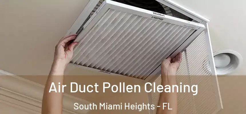 Air Duct Pollen Cleaning South Miami Heights - FL