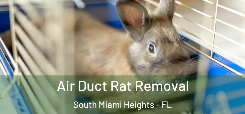 Air Duct Rat Removal South Miami Heights - FL