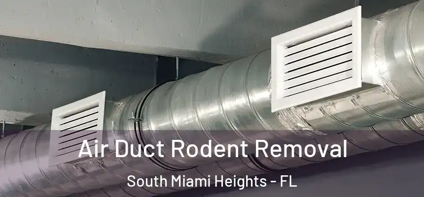 Air Duct Rodent Removal South Miami Heights - FL