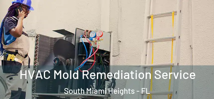 HVAC Mold Remediation Service South Miami Heights - FL