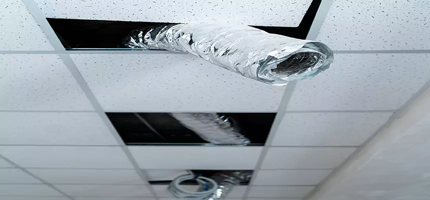 Affordable HVAC Sanitizing After Pest Removal in South Miami Heights