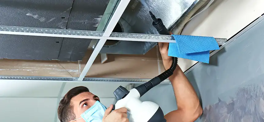 Our Air Duct Rodent Removal Services in South Miami Heights, FL