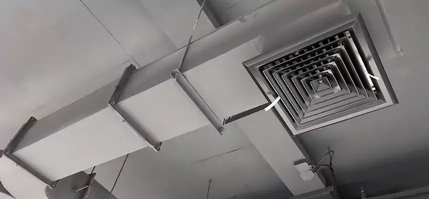 Restorative Allergy Relief Vent Cleaning – Coil, Blower & Housing Detail in South Miami Heights