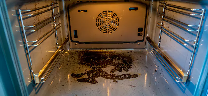 Our Dryer Vent Mold Cleaning Services in South Miami Heights, FL