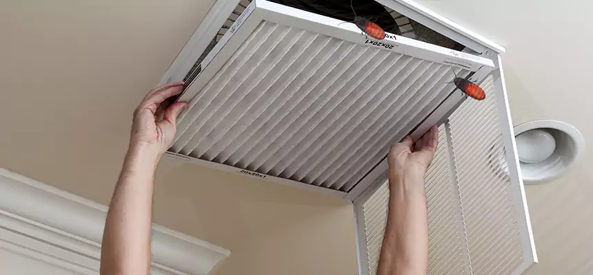 Our Insect Removal from Air Ducts Services in South Miami Heights, FL