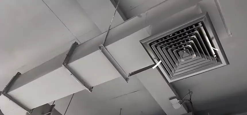 Our Pest Removal From Ducts Services in South Miami Heights, FL