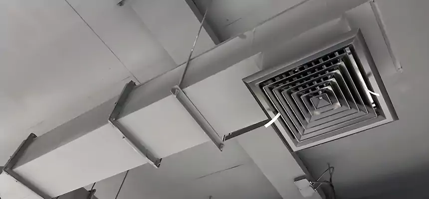 Our Rodent Droppings In Vents Services in South Miami Heights, FL