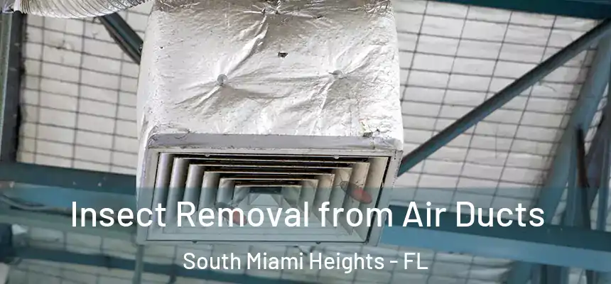 Insect Removal from Air Ducts South Miami Heights - FL