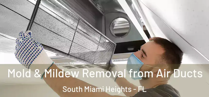 Mold & Mildew Removal from Air Ducts South Miami Heights - FL