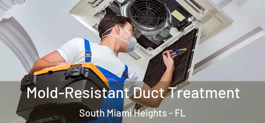 Mold-Resistant Duct Treatment South Miami Heights - FL