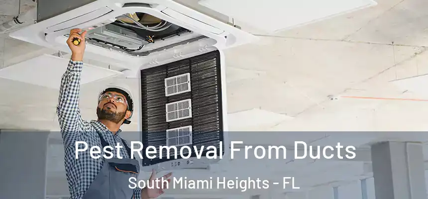 Pest Removal From Ducts South Miami Heights - FL