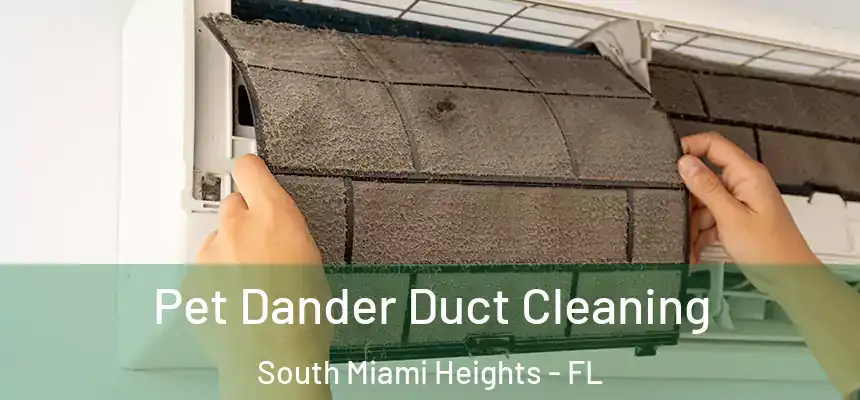 Pet Dander Duct Cleaning South Miami Heights - FL