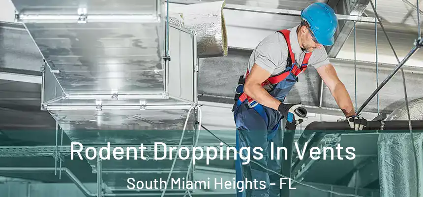 Rodent Droppings In Vents South Miami Heights - FL