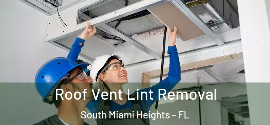 Roof Vent Lint Removal South Miami Heights - FL