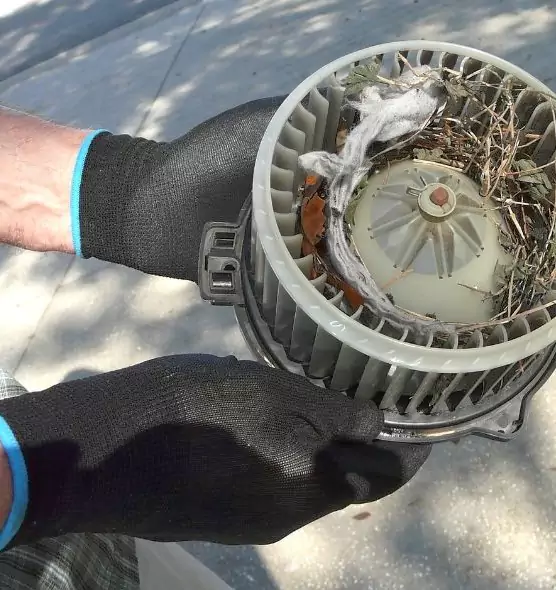 About Air Duct Mice Removal in South Miami Heights, FL