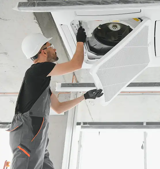 About Air Duct Rodent Removal in South Miami Heights, FL