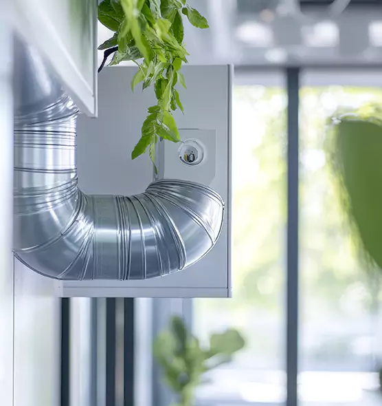 Professional Eco-Safe Dryer Vent Cleaning in South Miami Heights, FL