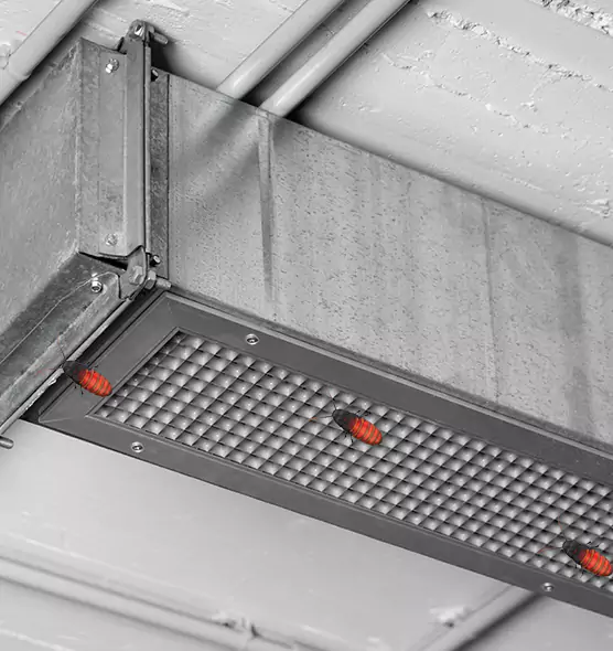 Affordable Insect Removal from Air Ducts in South Miami Heights, FL