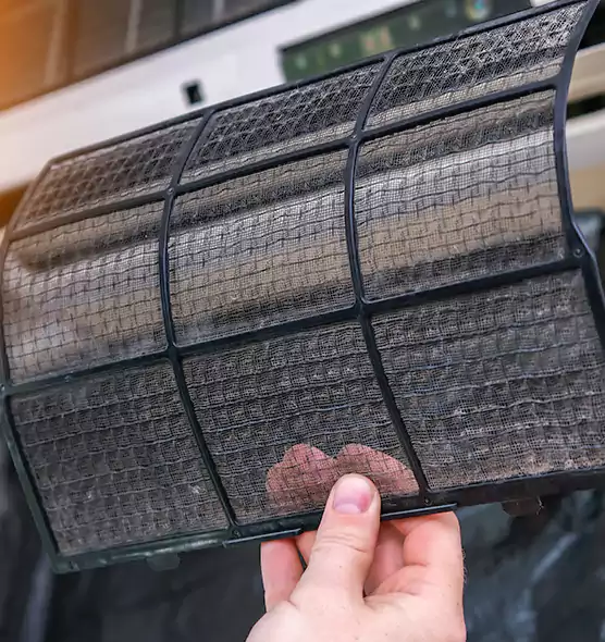 About Pet Dander Duct Cleaning in South Miami Heights, FL